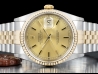 Ролекс (Rolex) Datejust 36 Champagne Jubilee Crissy Dial 16233